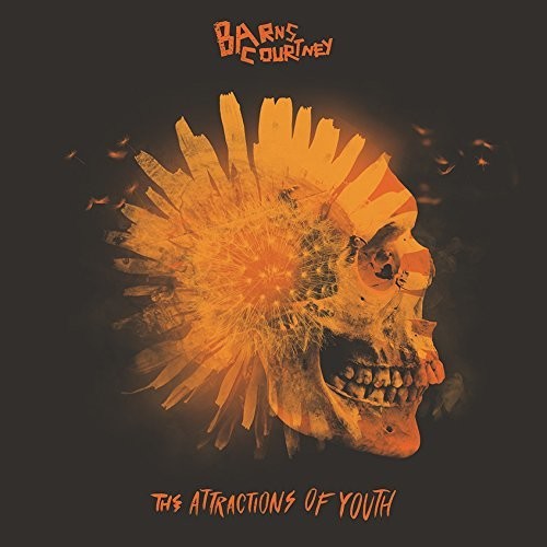 The Attractions Of Youth (Picture Disc Vinyl)