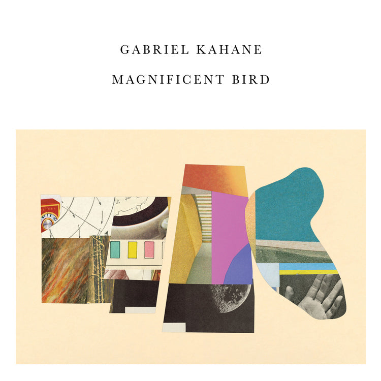 Gabriel Kahane Magnificent Bird
