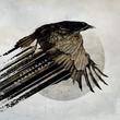 Katatonia Mnemosynean