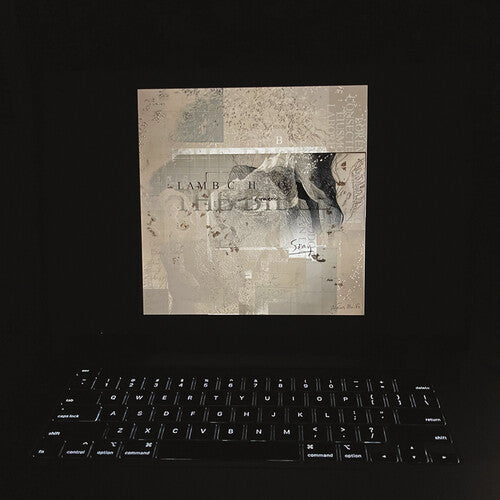 The Bible (Colored Vinyl, Yellow, Black, Indie Exclusive, Digital Download Card) (2 Lp's)