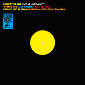 Live At Knebworth 1990