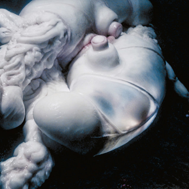Björk Arisen My Senses limited edition colored 12-inch vinyl