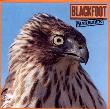 Marauder
