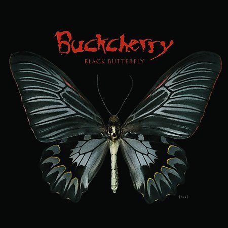 Black Butterfly