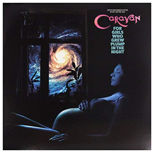 For Girls Who Grew Plump In The Night (Colour Vinyl)