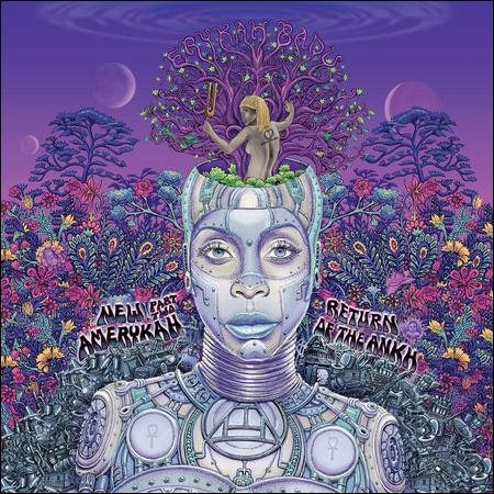 New Amerykah Part Two: Return of the Ankh (2 Lp's)