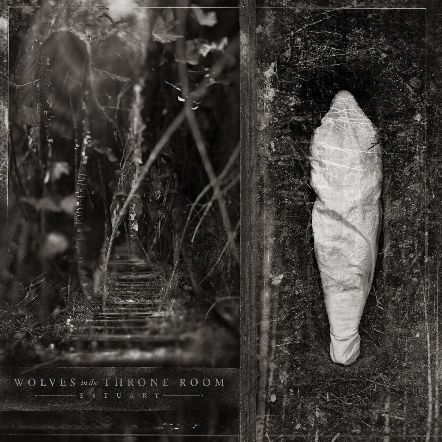 Wolves In The Throne Room