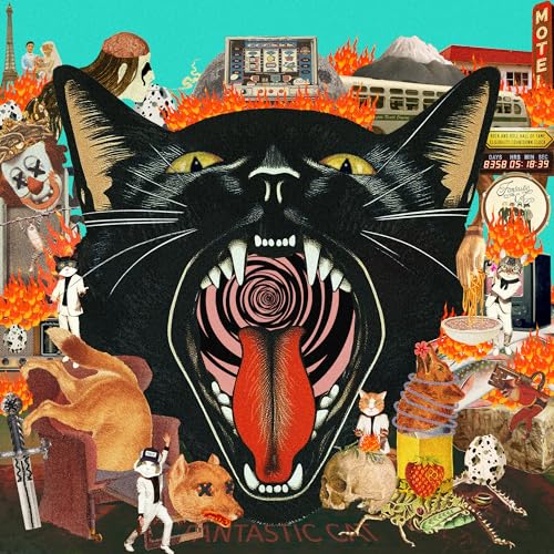 Cat Out Of Hell
