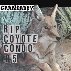 "RIP Coyote Condo #5" b/w " "The Fox in the Snow" & "In My Room" (RSD Black Friday 11.27.2020)