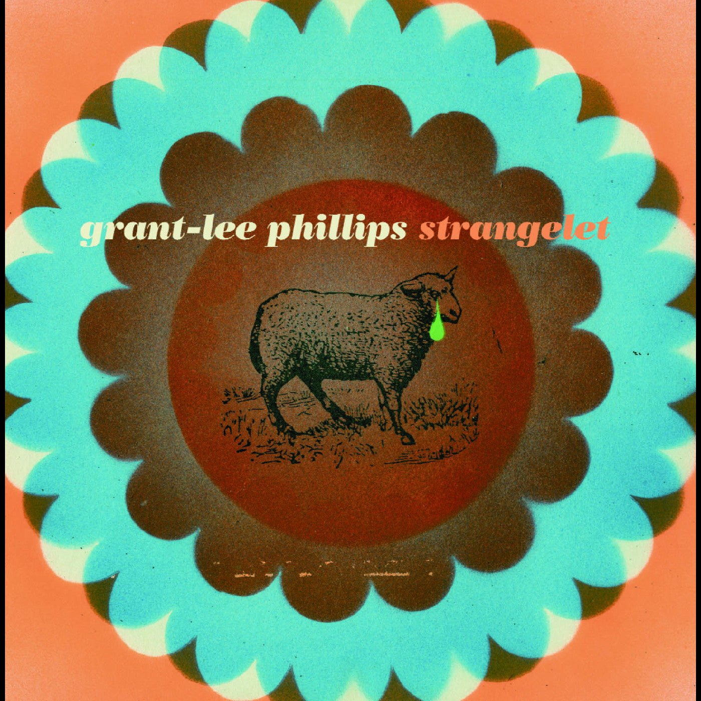 Strangelet