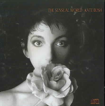 THE SENSUAL WORLD