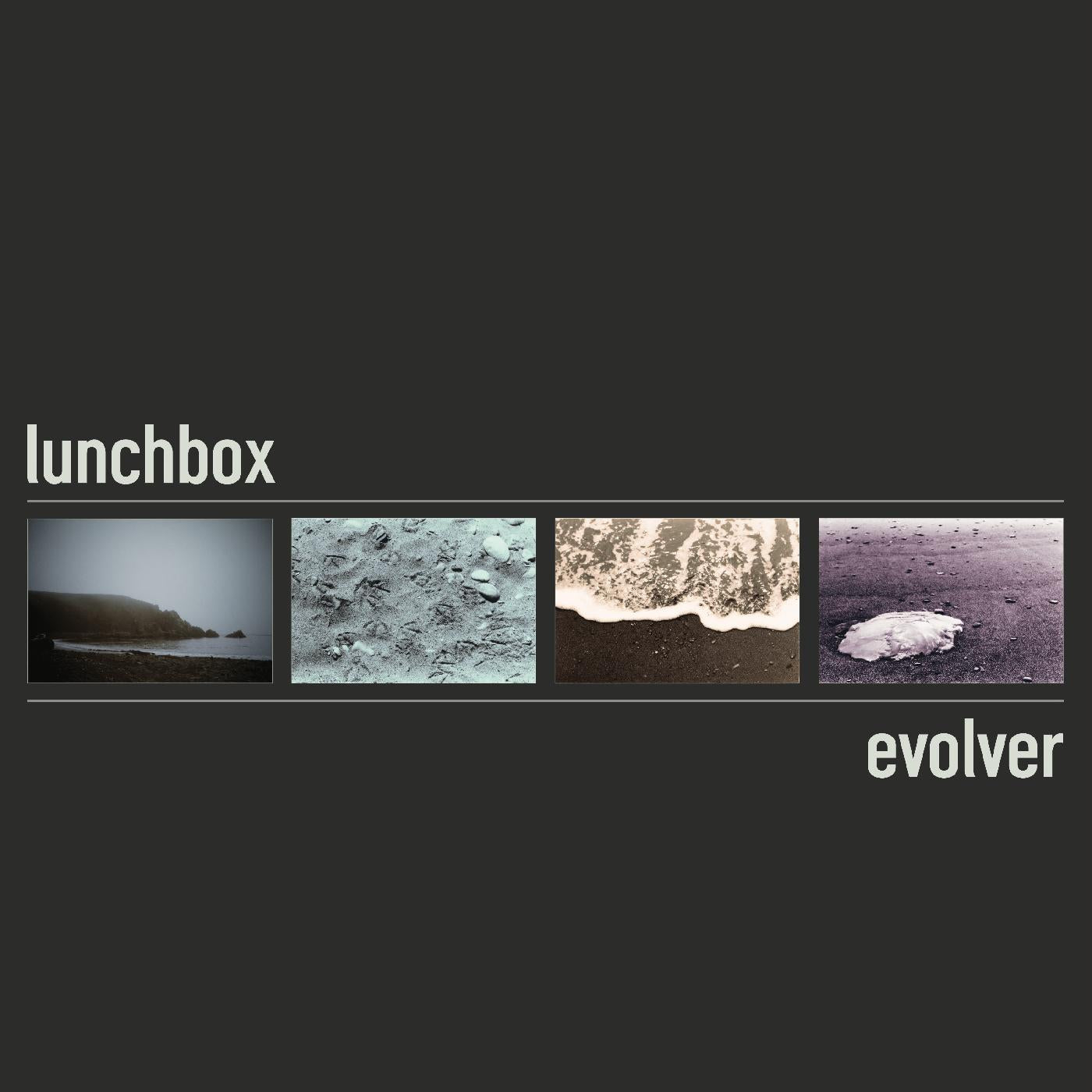 Evolver (2025 Vinyl Edition)