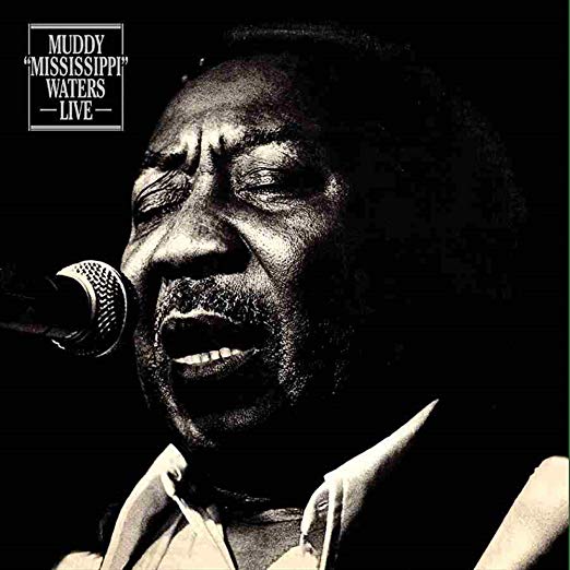 MUDDY MISSISSIPPI WATERS LIVE (180 GRAM VINYL)