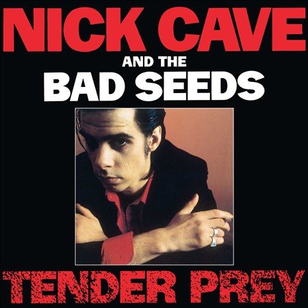 TENDER PREY