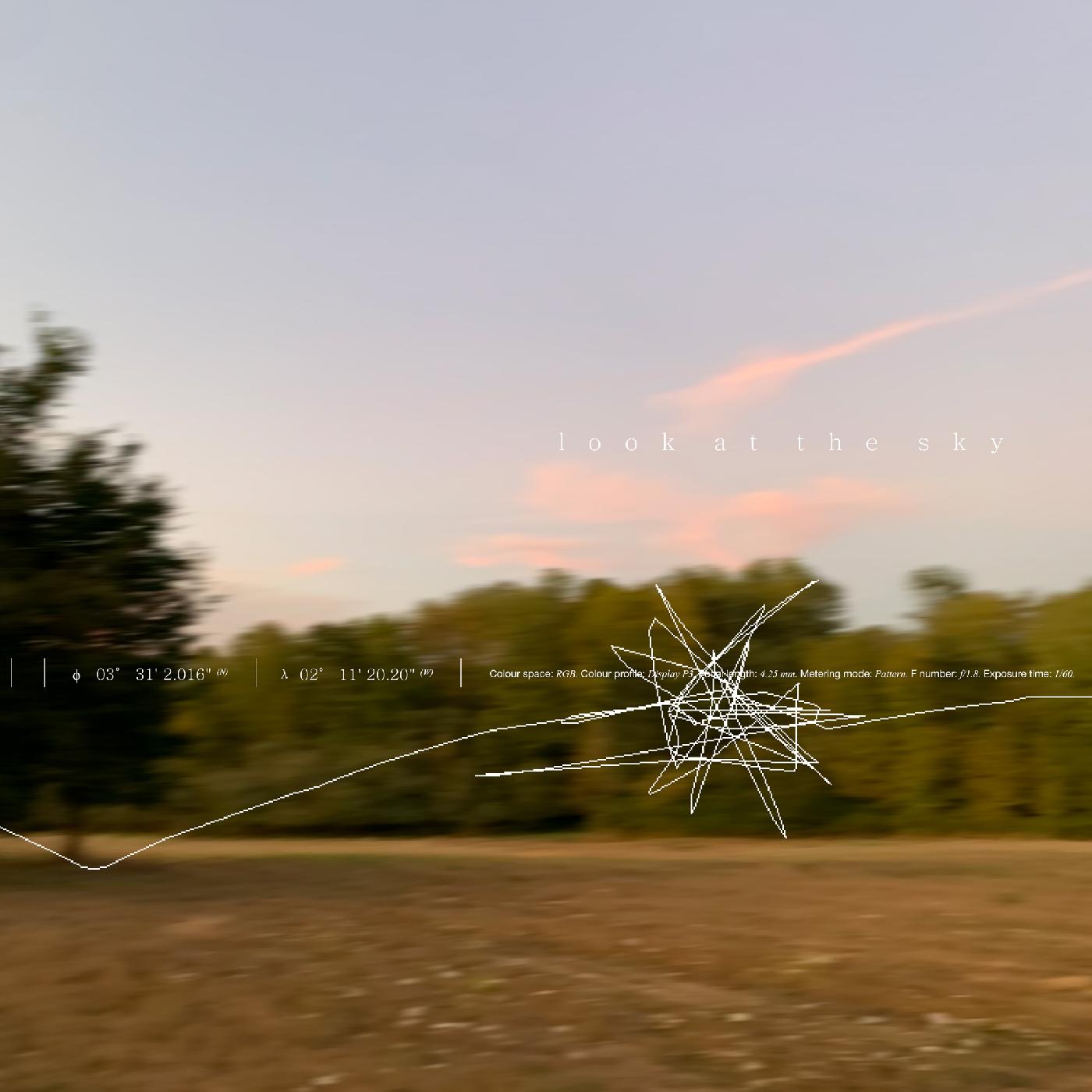 Look At The Sky (Indie Exclusive)