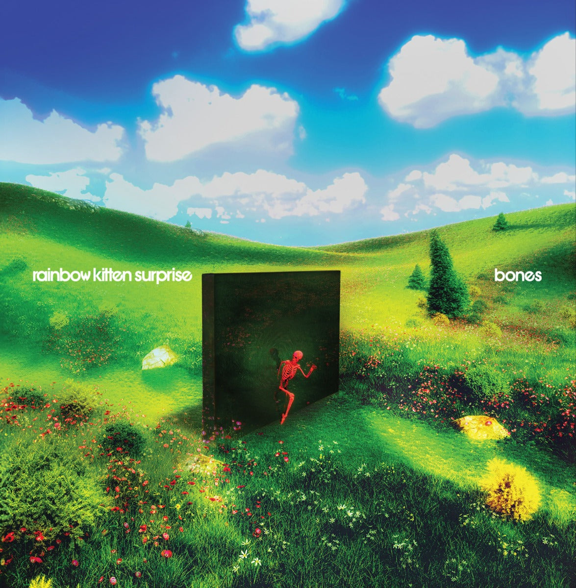 Rainbow Kitten Surprise bones indie exclusive banana LP vinyl cover