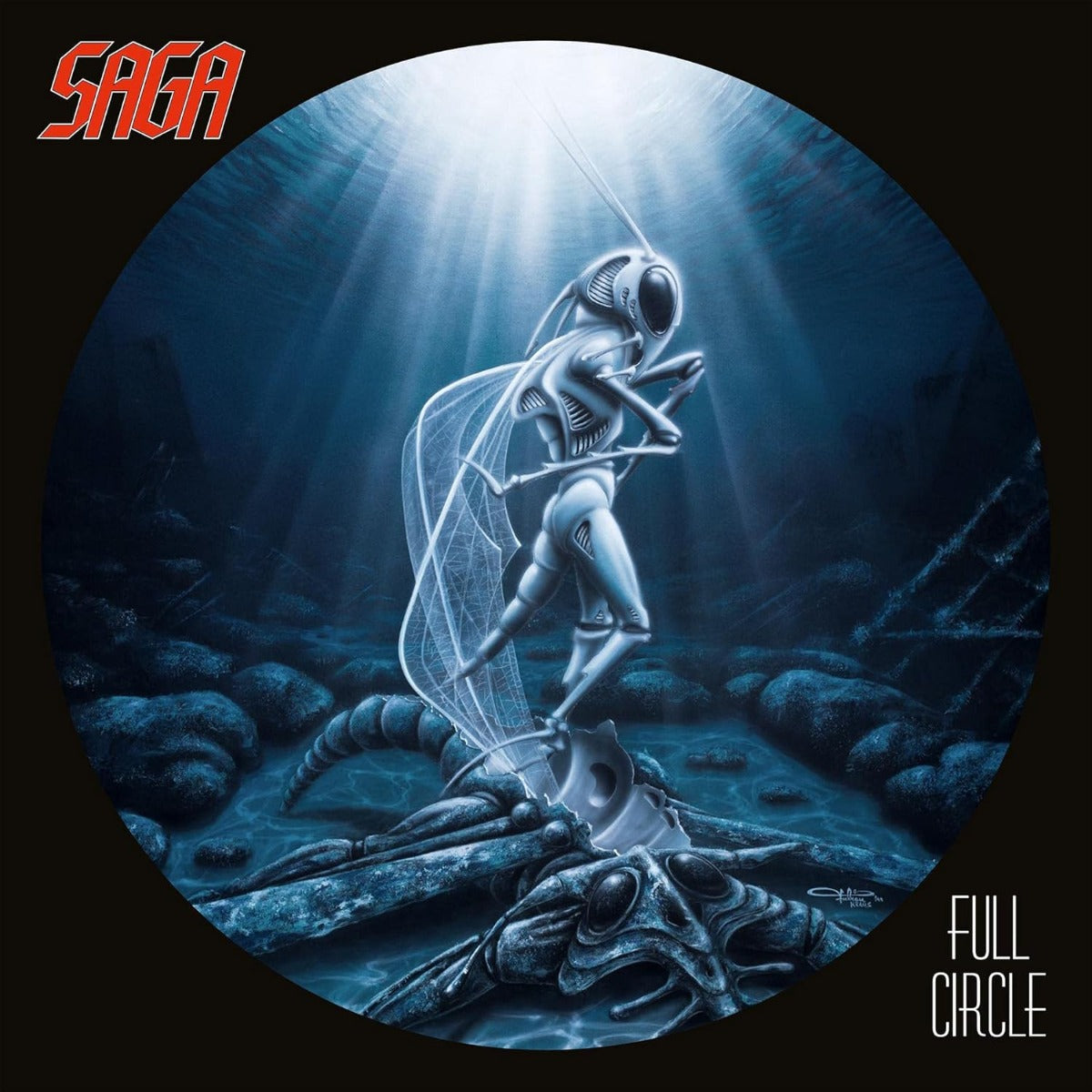 Full Circle (Remastered, 180 Gram Vinyl)
