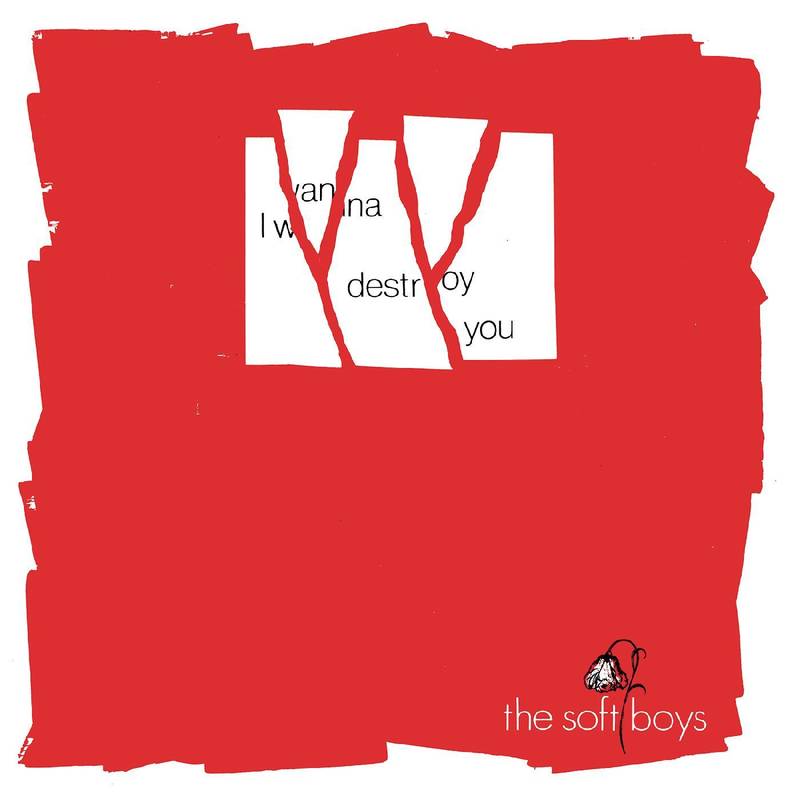 I Wanna Destroy You / Near The Soft Boys (40th Anniversary Edition) | RSD DROP