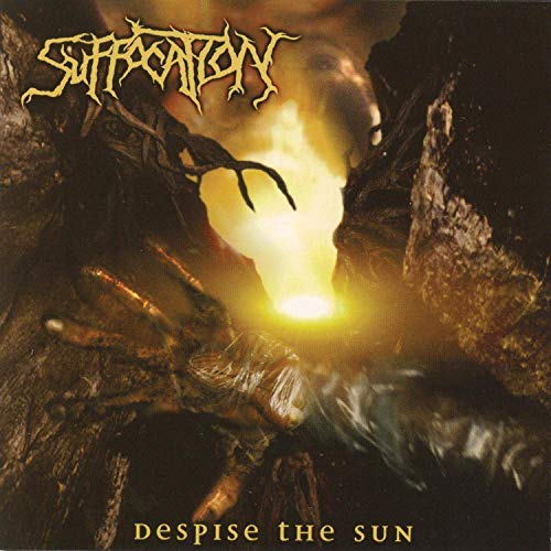 Despise The Sun