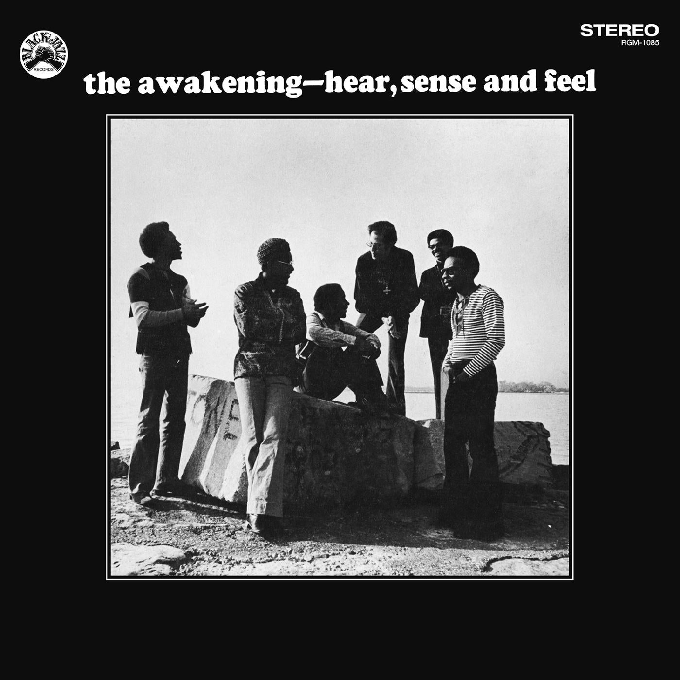 Hear Sense And Feel (Remastered) (Blue With Black Swirl Vinyl)