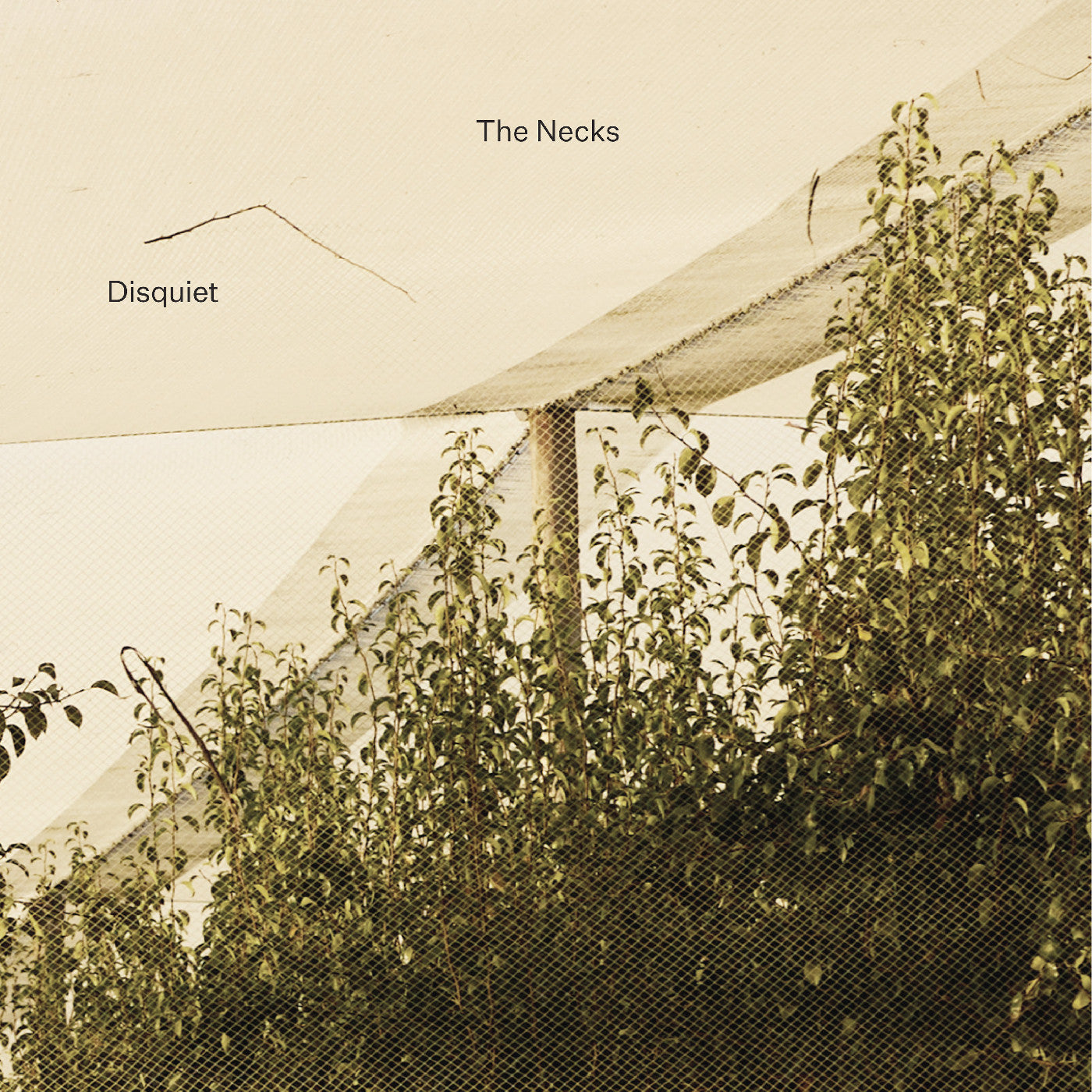 Disquiet