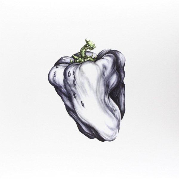WHITE PEPPER