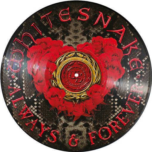 Whitesnake Always & Forever