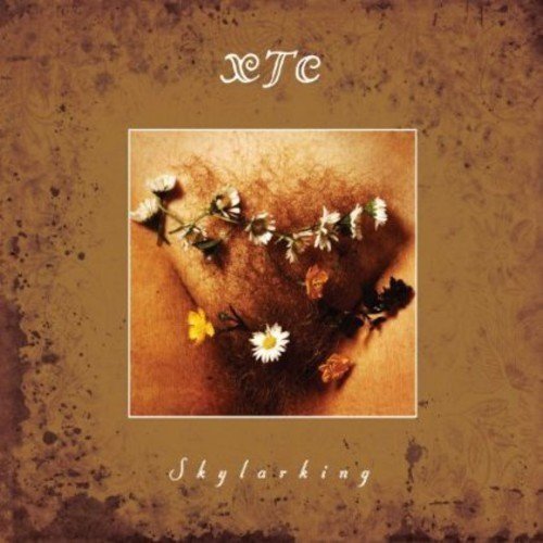 Skylarking:Corrected Polarity Edition (Uk)