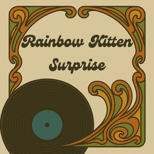 Rainbow Kitten Surprise artist collection artwork at Vibin' Vinyl