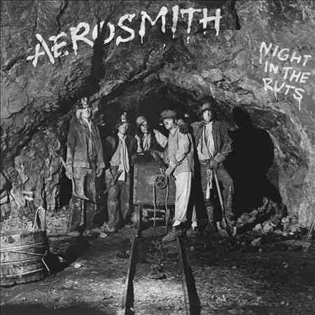 - Night in the Ruts (LP | 180 Grams)