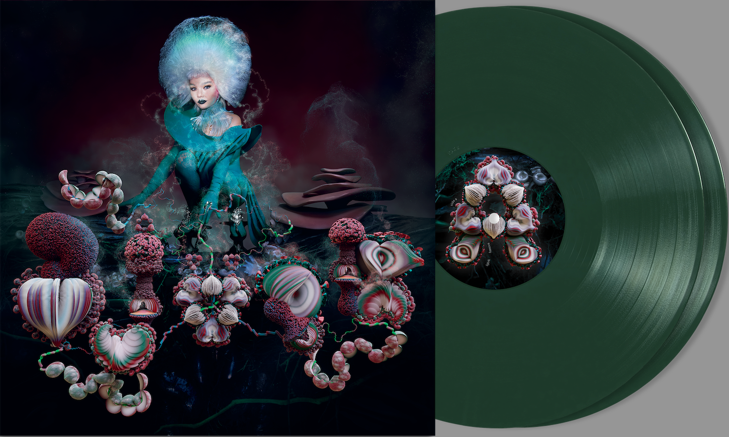 Fossora