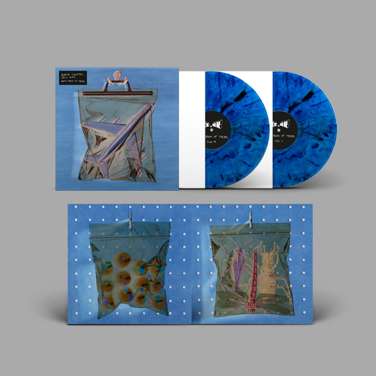 Ants From Up There (Indie Exclusive, Blue Marbled Vinyl) (With Book, Gatefold LP Jacket, 140 Gram Vinyl) (2 Lp's)