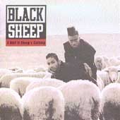 WOLF IN SHEEP'S.(EX)
