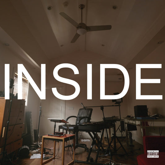 Inside (The Songs) [Explicit Content] (Gatefold LP Jacket, Vintage Glass Colored Vinyl, Indie Exclusive) (2 Lp's)