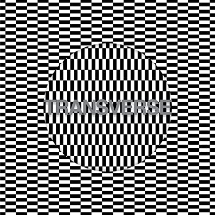 Carter Tutti Void Transverse