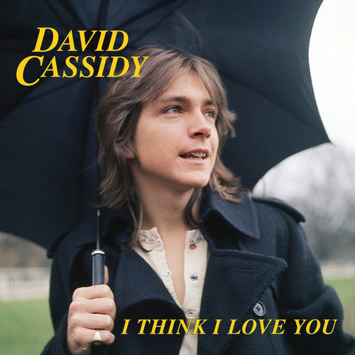 David Cassidy I Think I Love You (Limited Edition, Blue, Pink) (7" Single)