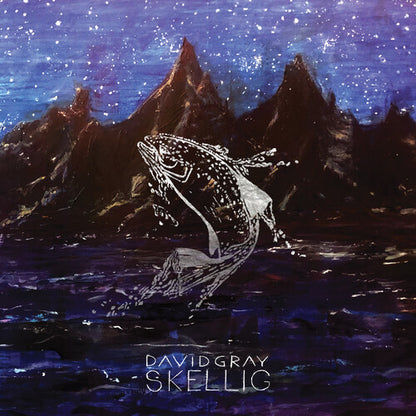 David Gray Skellig (Gatefold LP Jacket) (2 Lp's)