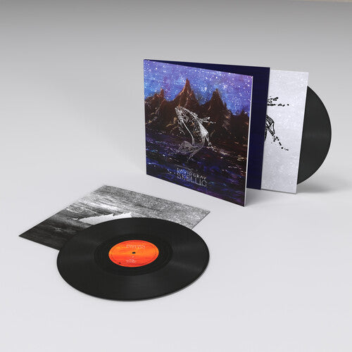 David Gray Skellig (Gatefold LP Jacket) (2 Lp's)