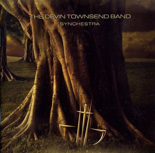 Synchestra