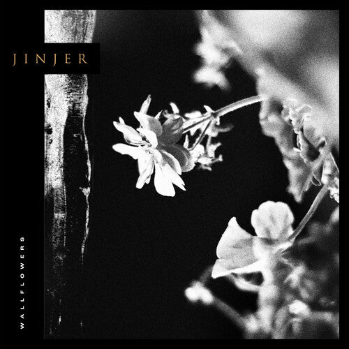 Jinjer Wallflowers (CD)