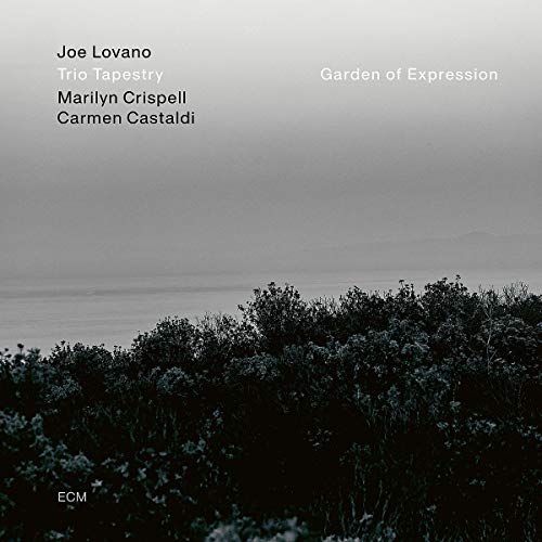 Garden Of Expression [LP]