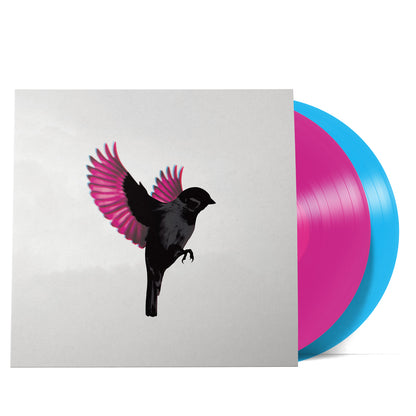Sparrow