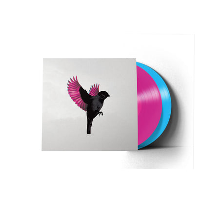 Sparrow