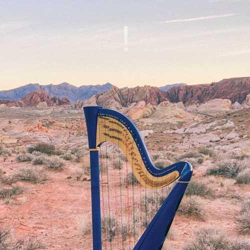 ! [LP]