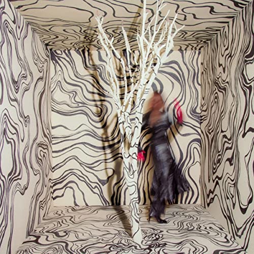 Revealer [LP]