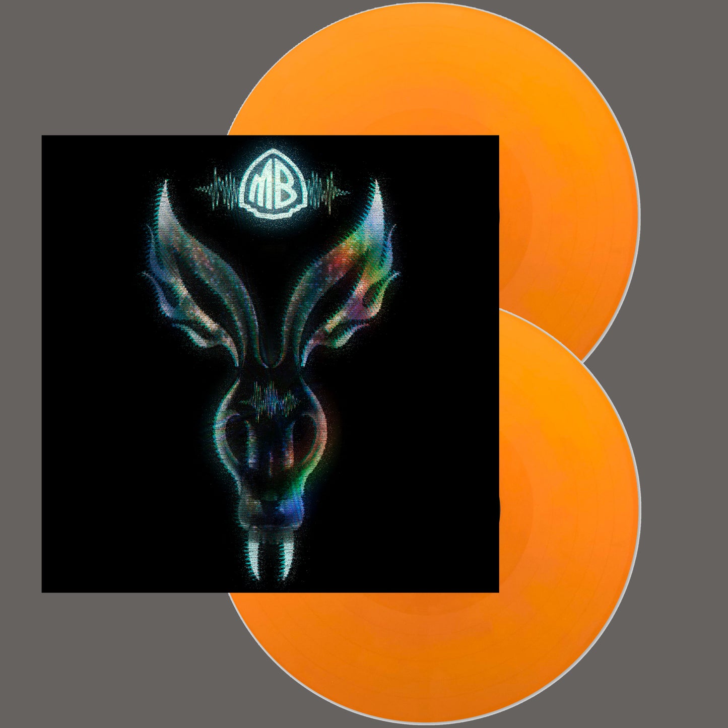 The Night They Came Home (Indie LP)