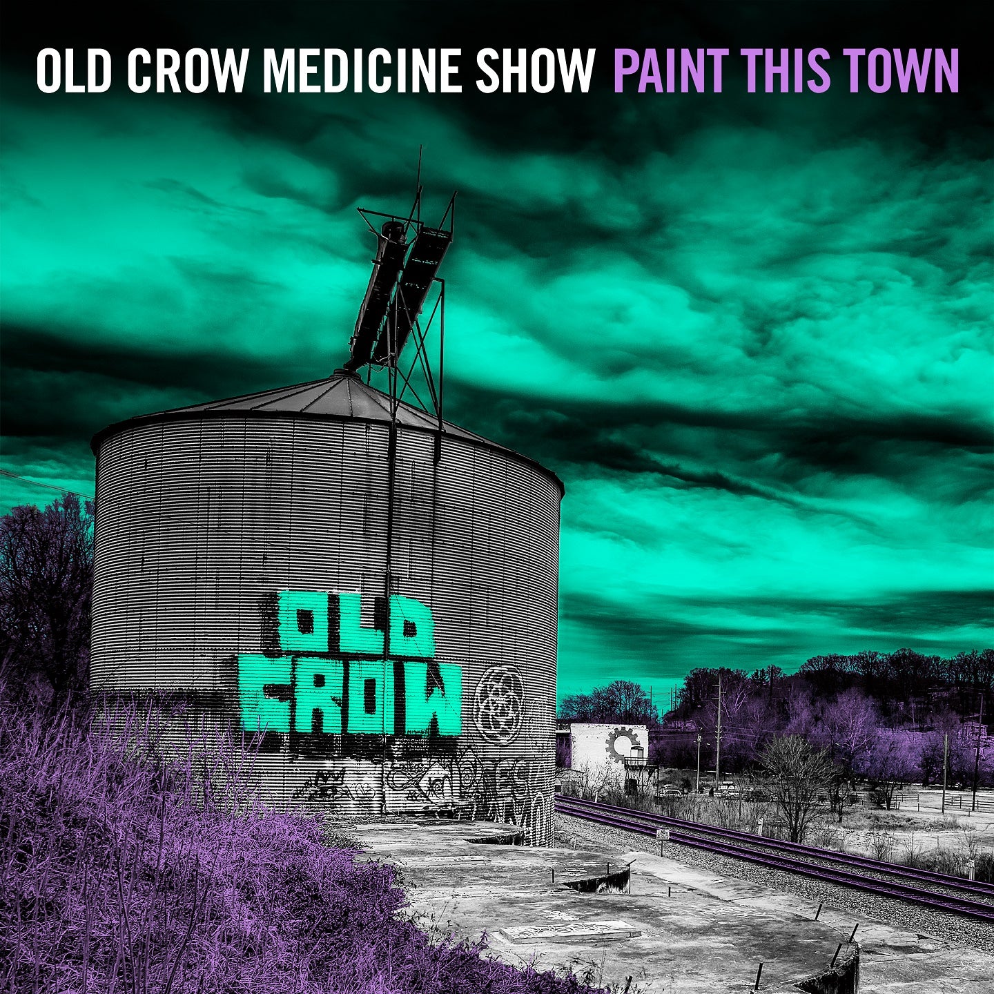 Paint This Town [LP]