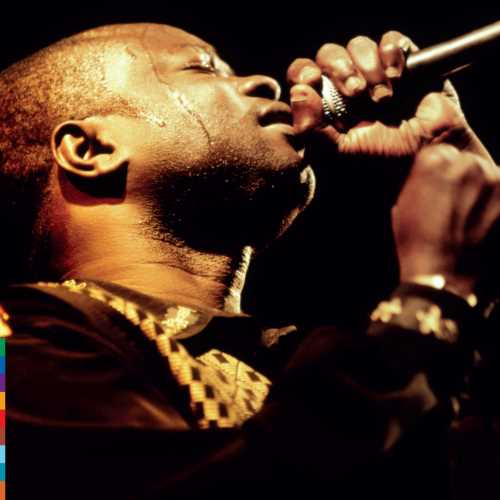 Direct From Dakar [LP]