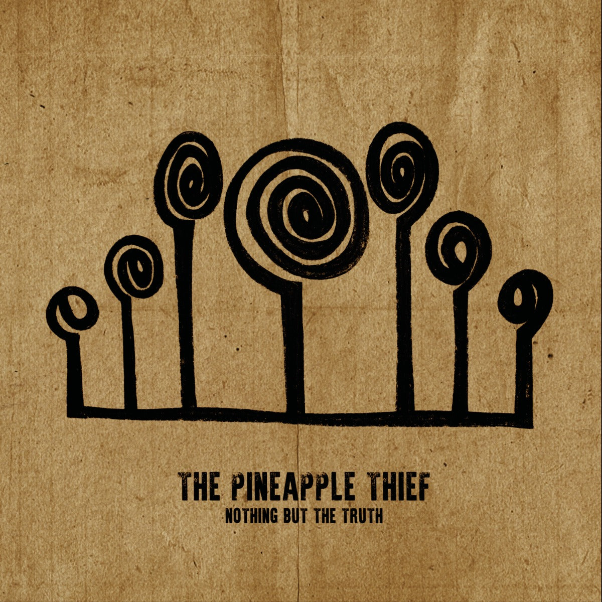 Pineapple Thief Nothing But The Truth (2 Lp's)