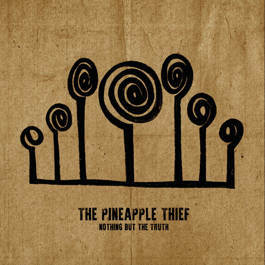 Pineapple Thief Nothing But The Truth (2 Lp's)